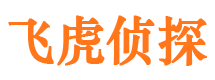 麻栗坡市调查公司